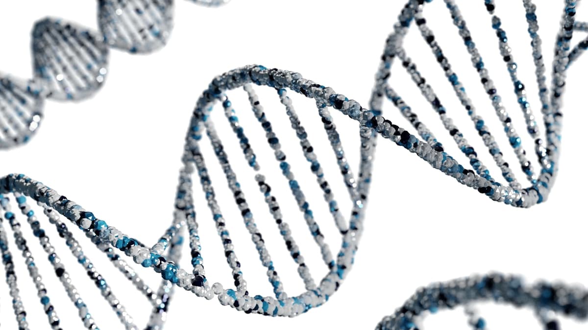 The Hidden AI Compute Crisis: A Bottleneck for Genomics Breakthroughs
